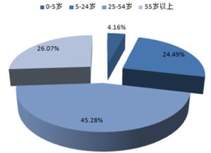 2017-2022年中國旅游電子商務(wù)市場運(yùn)行態(tài)勢與投資策略分析報告 聚焦國內(nèi)旅游業(yè)務(wù)經(jīng)營